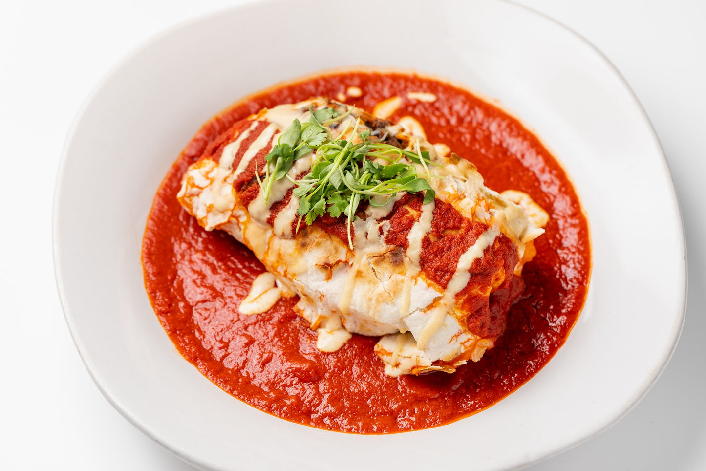 Burrito Mojado
